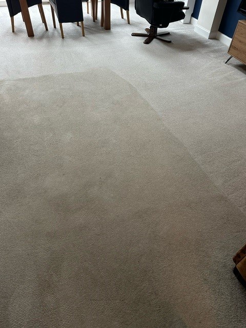 Carpet cleaning during photo.